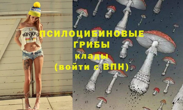 метадон Абаза