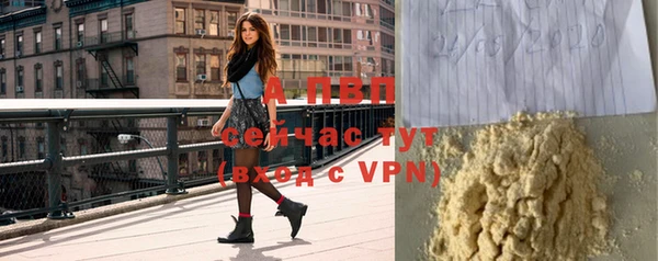 крисы Березники