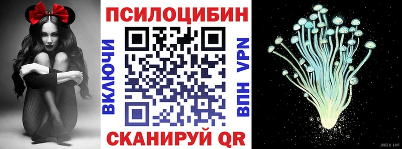 Псилоцибиновые грибы Cubensis  блэк спрут сайт  Псков  наркотики 