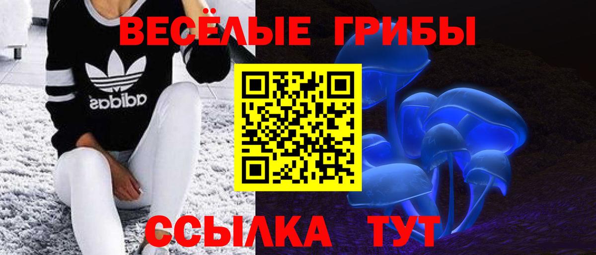 Псилоцибиновые грибы Psilocybine cubensis  Галлюциногенные грибы мицелий  Вход с VPN  Псков 