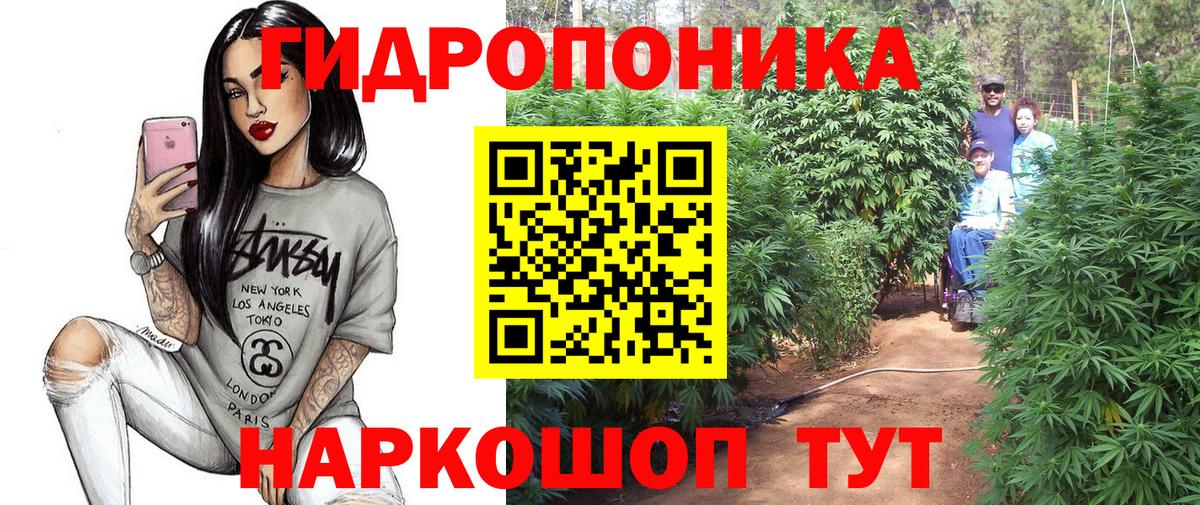 Канабис сатива Псков